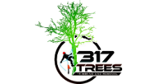 317 Trees in Indianapolis, IN