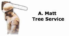 A. Matt Tree Service in Colleyville, TX