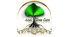 AAA Tree Care in Santa Ana, CA