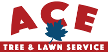 Ace Tree and Lawn Service in San Antonio, TX