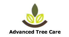 Advanced Tree Care in Chino, CA
