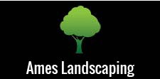 AMES Landscaping in Spring Valley, CA
