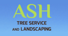 Ash Tree Service and Landscaping in Elgin, IL