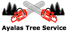 Ayalas Tree Service in Dallas, TX