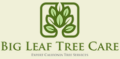 Big Leaf Tree Care in Rancho Cucamonga, CA