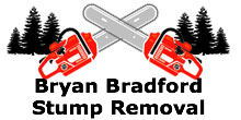Bryan Bradford Stump Removal in North Olmsted, OH