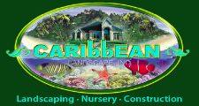 Caribbean Landscape Nursery Construction in Kildeer, IL