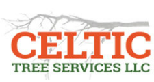 Celtic Tree Service in Bridgeport, CT