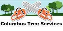 Columbus Tree Services in Columbus, OH