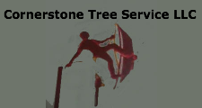 Cornerstone Tree Service LLC in Alabaster, AL