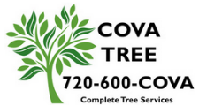 COVA Tree in Castle Rock, CO