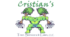 Cristian Tree Services & Lawn in Danbury, CT