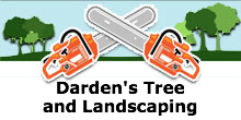 Dardens Tree and Landscaping in Rosindale, MA