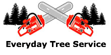 Everyday Tree Service in Maple Grove, MN