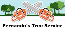 Fernandos Tree Service in Phoenix, AZ