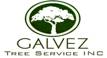 Galvez Tree Service in Holmes, NY