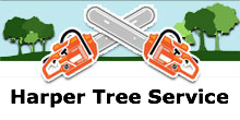 Harper Tree Service in Santa Monica, CA