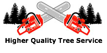 Higher Quality Tree Service in Mesquite, TX