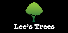 Lees Trees in Phoenix, AZ