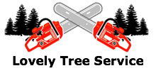 Lovely Tree Service in Sayreville, NJ