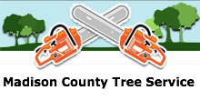 Madison County Tree Service in Cottage Hills, IL
