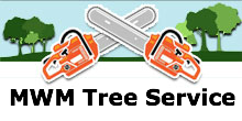 MWM Tree Service in Fort Worth, TX