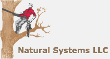 Natural Systems LLC in Southington, CT