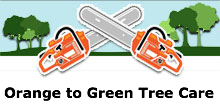 Orange to Green Tree Care in Austin, TX