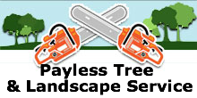 Payless Tree & Landscape Service in Ontario, CA