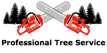 Professional Tree Service in Gulfport, MS