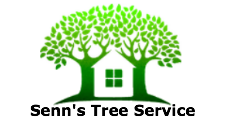 Senns Tree Service in Westminster, CO