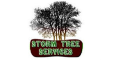 Storm Tree Service in Monee, IL