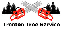 Trenton Tree Service in Bell, FL