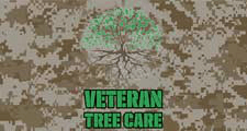 Veteran Tree Care in Pflugerville, TX