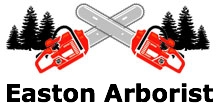 Easton Arborist in Easton, CT