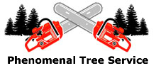 Phenomenal Tree Service in Chicago, IL