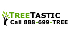 Treetastic in Holtsville, NY