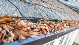 Gutter Cleaning