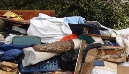 Junk Removal
