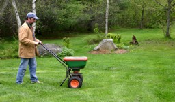 Lawn Care