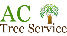AC Tree Service in Rialto, CA