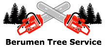 Berumen Tree Service in Carpentersville, IL