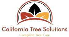 California Tree Solutions in San Jose, CA