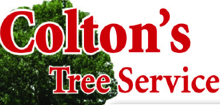Coltons Tree Service in Palm City, FL