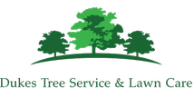Dukes Tree Service in Pelham, MA