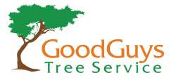 Good Guys Tree Service in Austin, TX