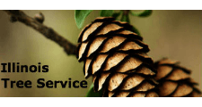 Illinois Tree Service in Plainfield, IL