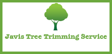 Javis Tree Trimming Service in Jonestown, TX