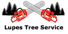 Lupes Tree Service in Evanston, IL