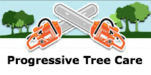 Progressive Tree Care in San Juan Capistrano, CA